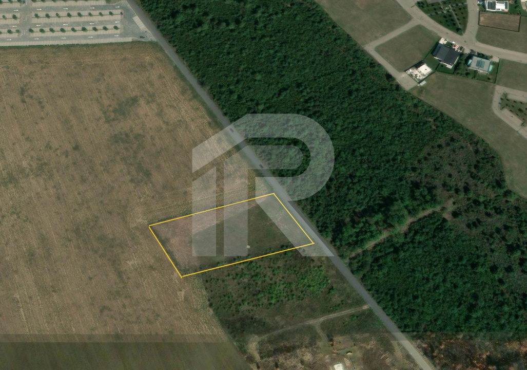 BALOTESTI - EDENLAND -  ideal investitie - Teren 5.254 mp, lângă pădure