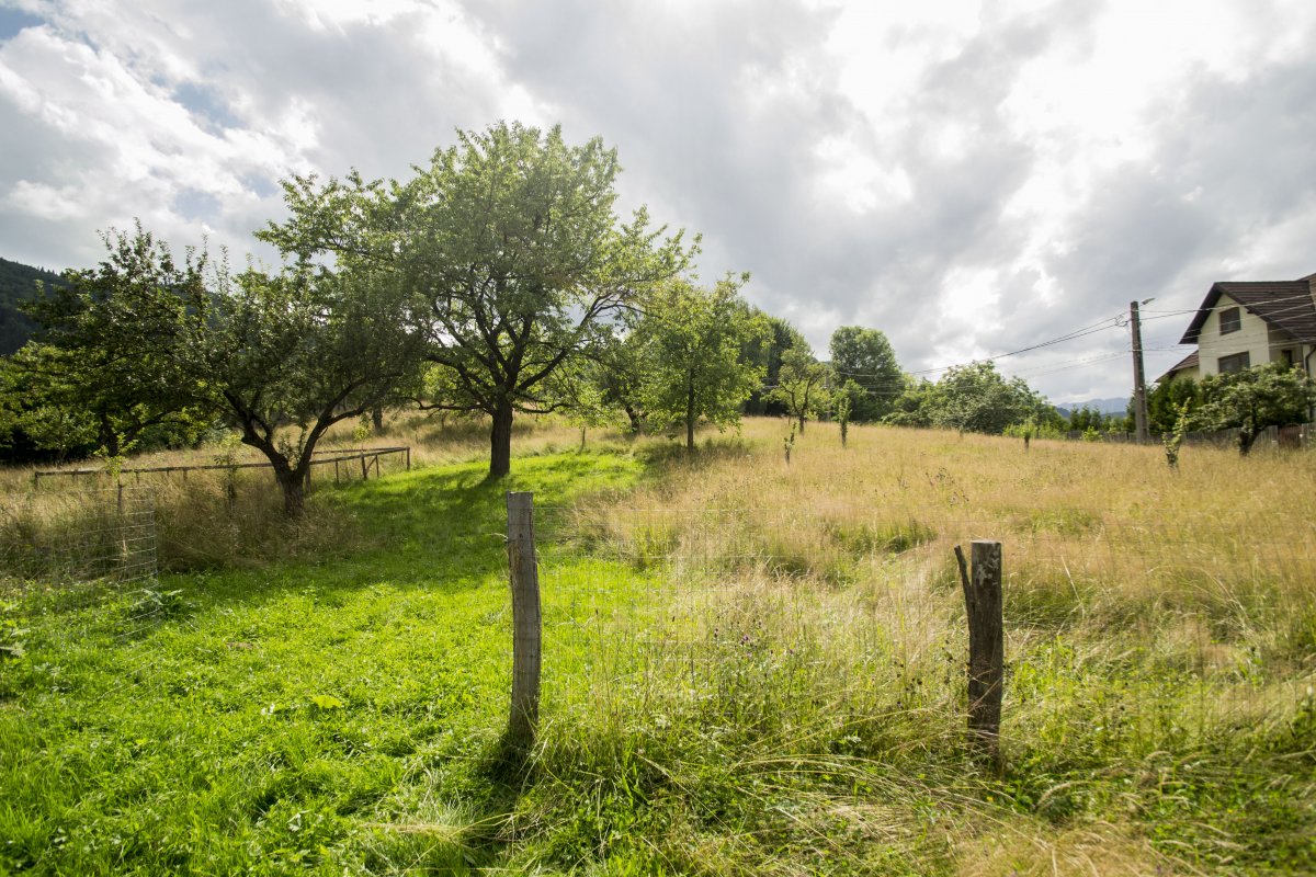 Teren investitie Bran - Predelut, la 2 km de Castelul Bran - 0% comision